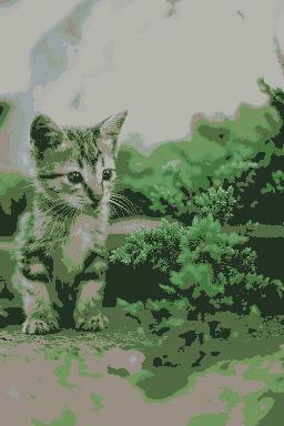 kitten-dithered.jpg