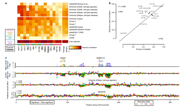 Gene_Prediction.png