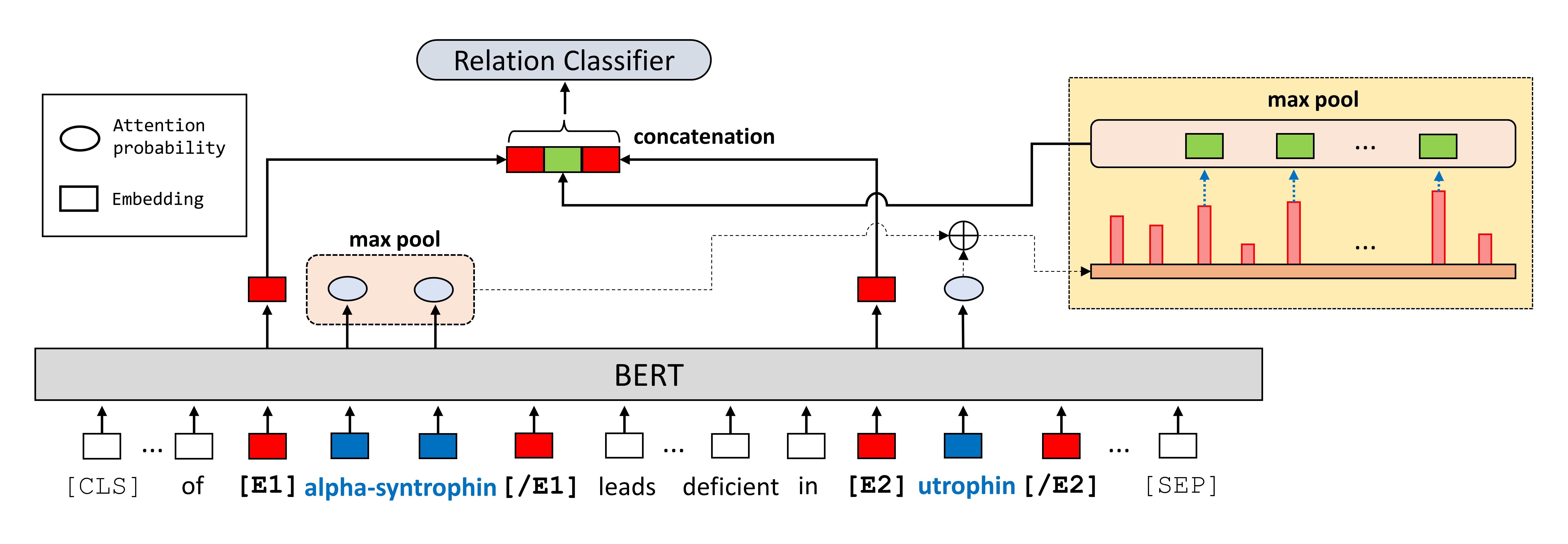 model_architecture_entity_start.jpg