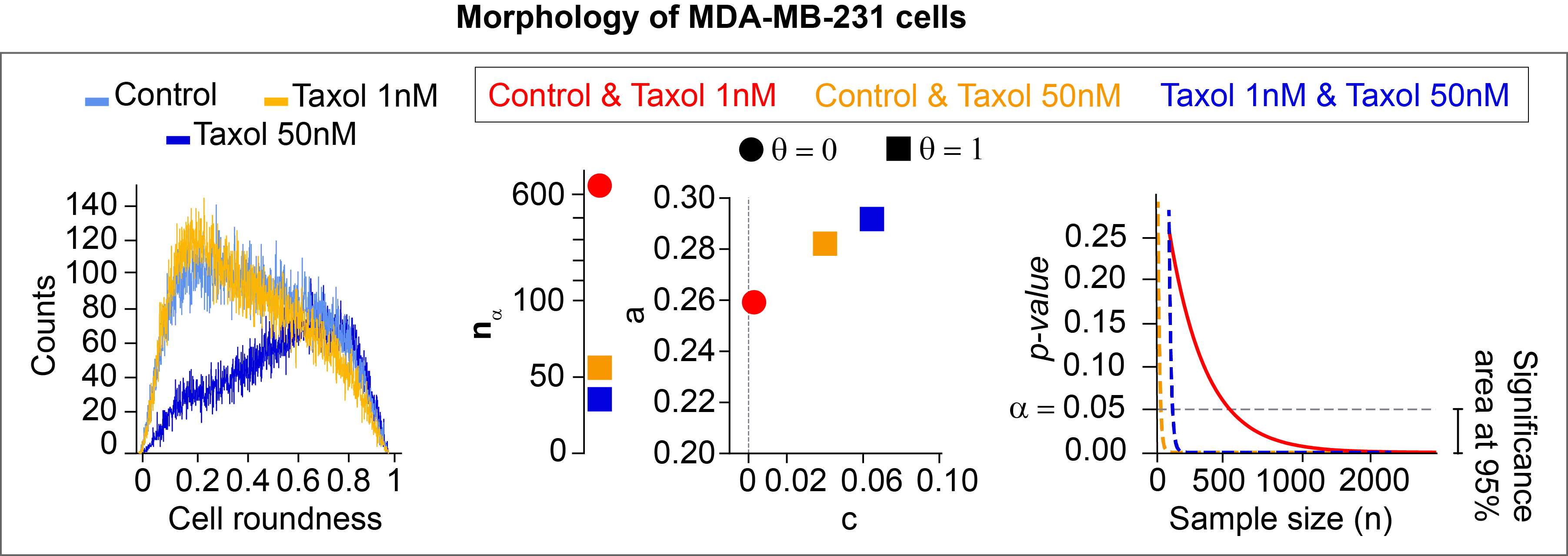 cell_roundness_taxol.png