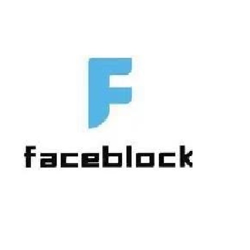 faceblock500500.jpg