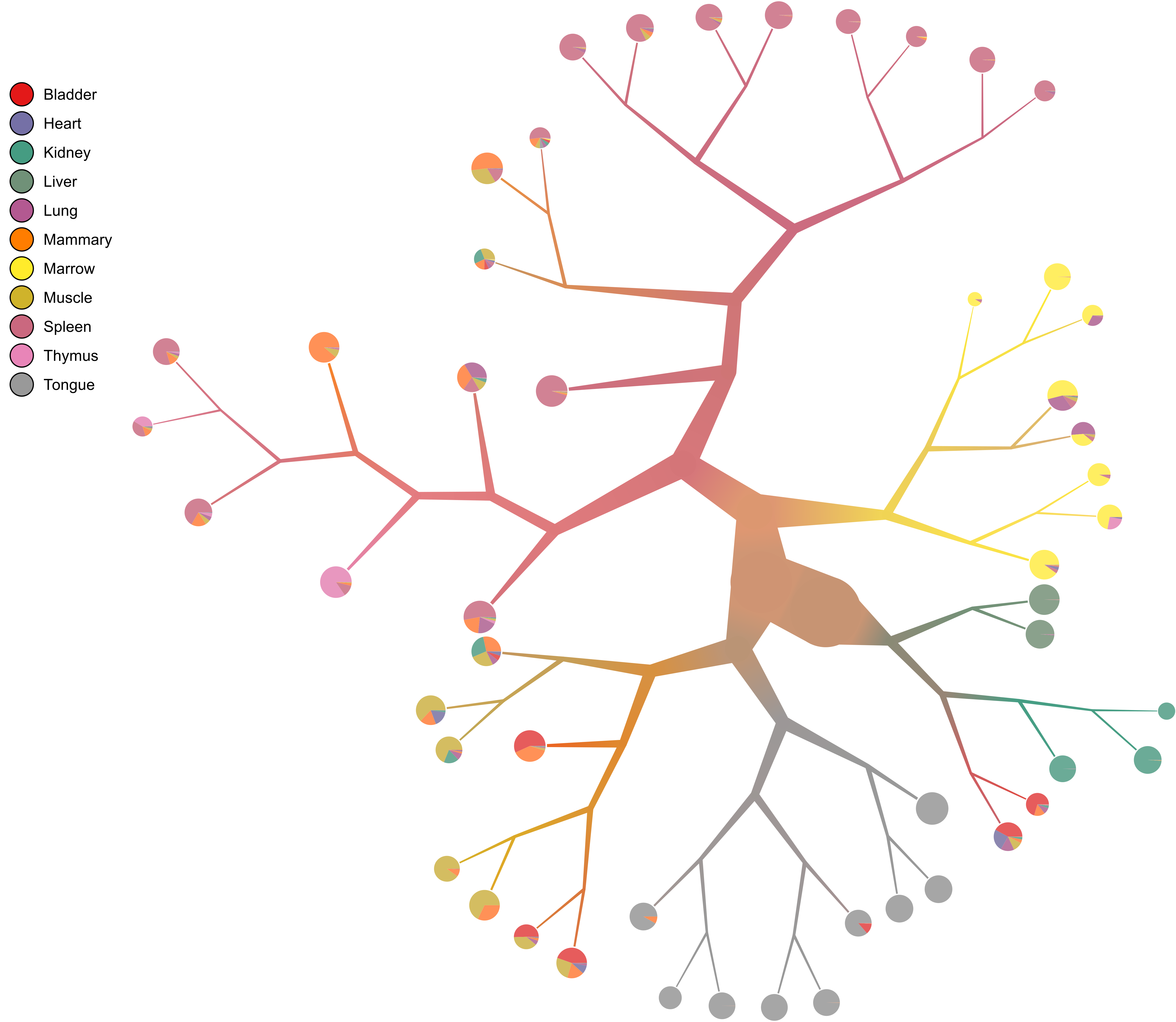 piechart_pruned_tree.png