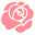 rosa.png