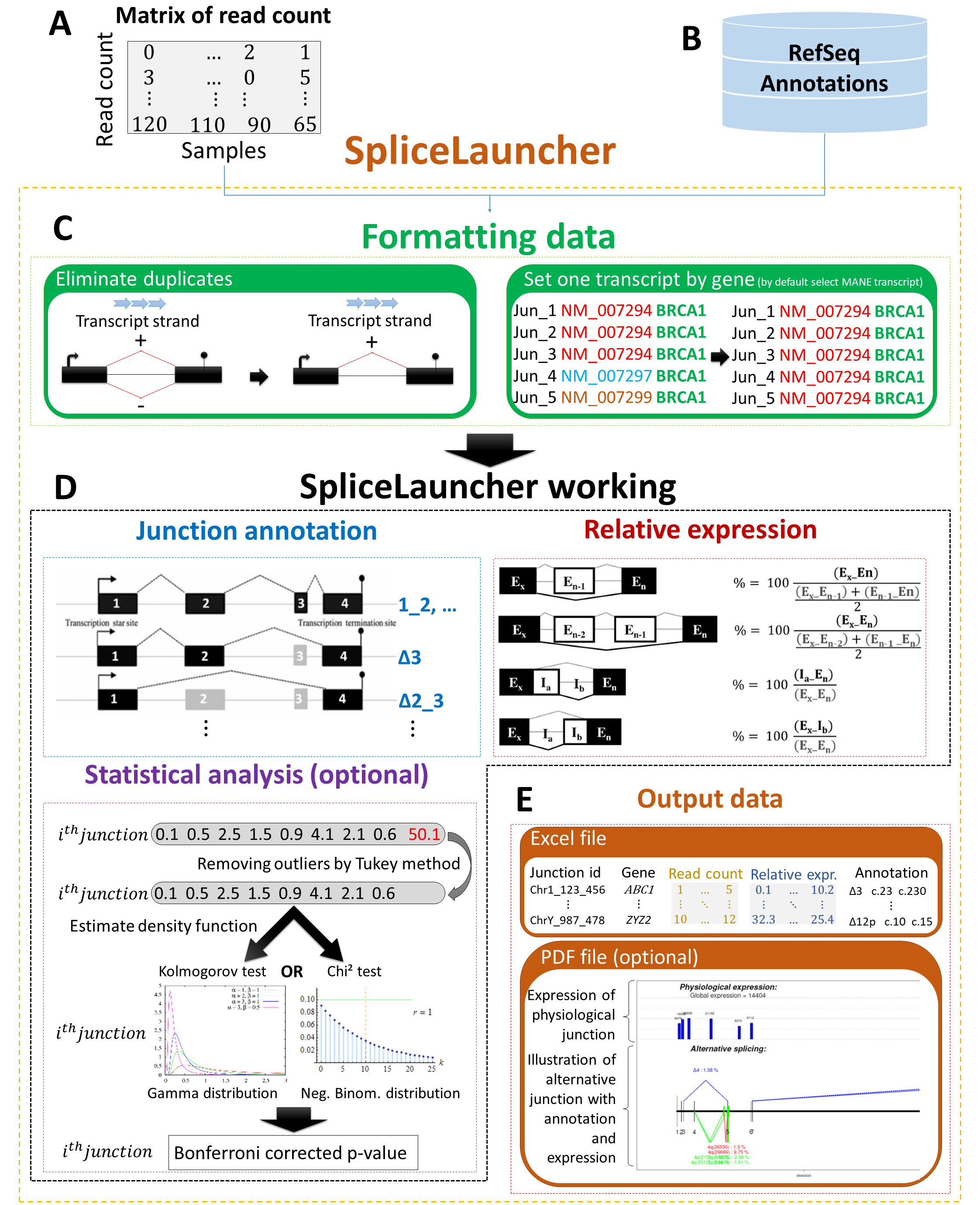 Figure1.png