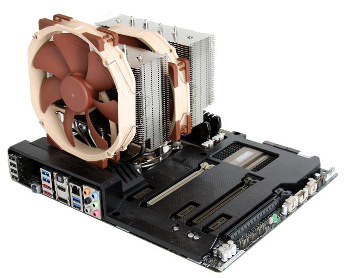 noctua.jpg