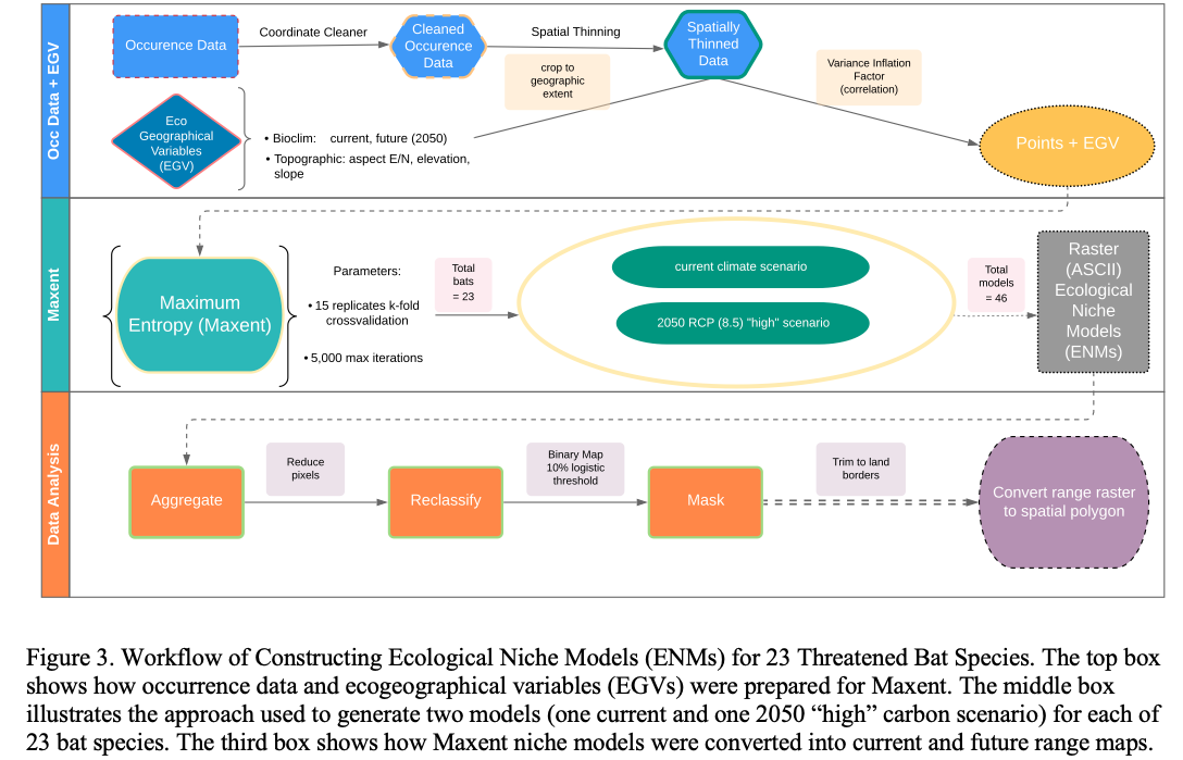 Figure 3. Workflow of Constructing Ecological Niche Models (ENMs) for 23 Threatened Bat Species.png