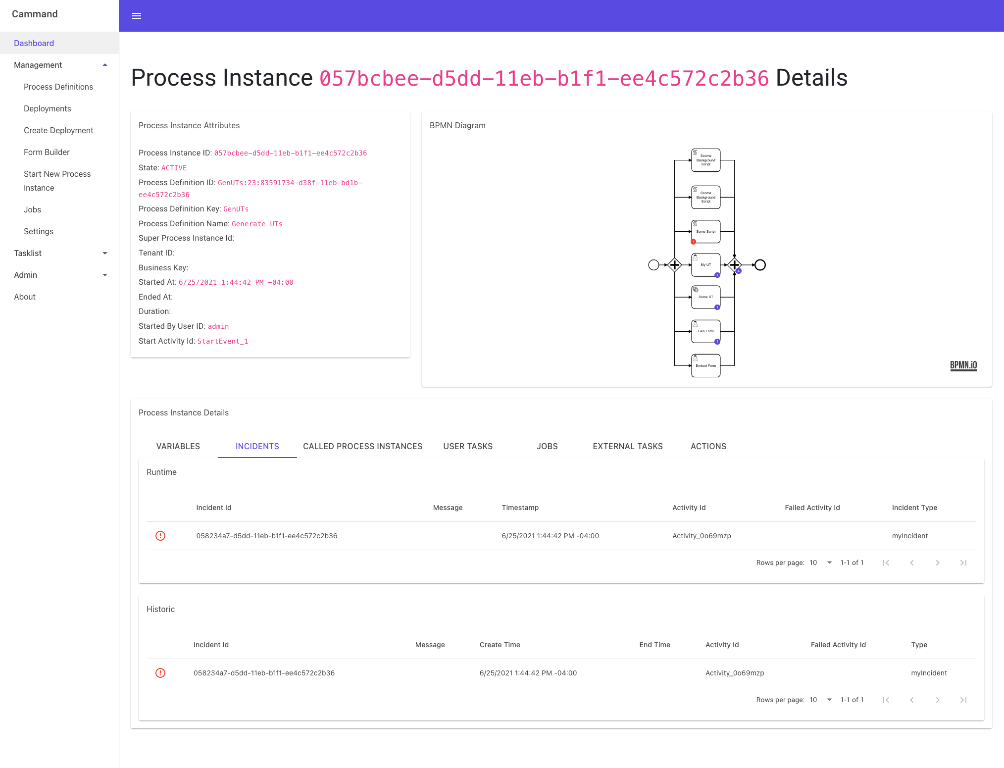 Mgmt-ProcessInstance-Details-Incidents.png