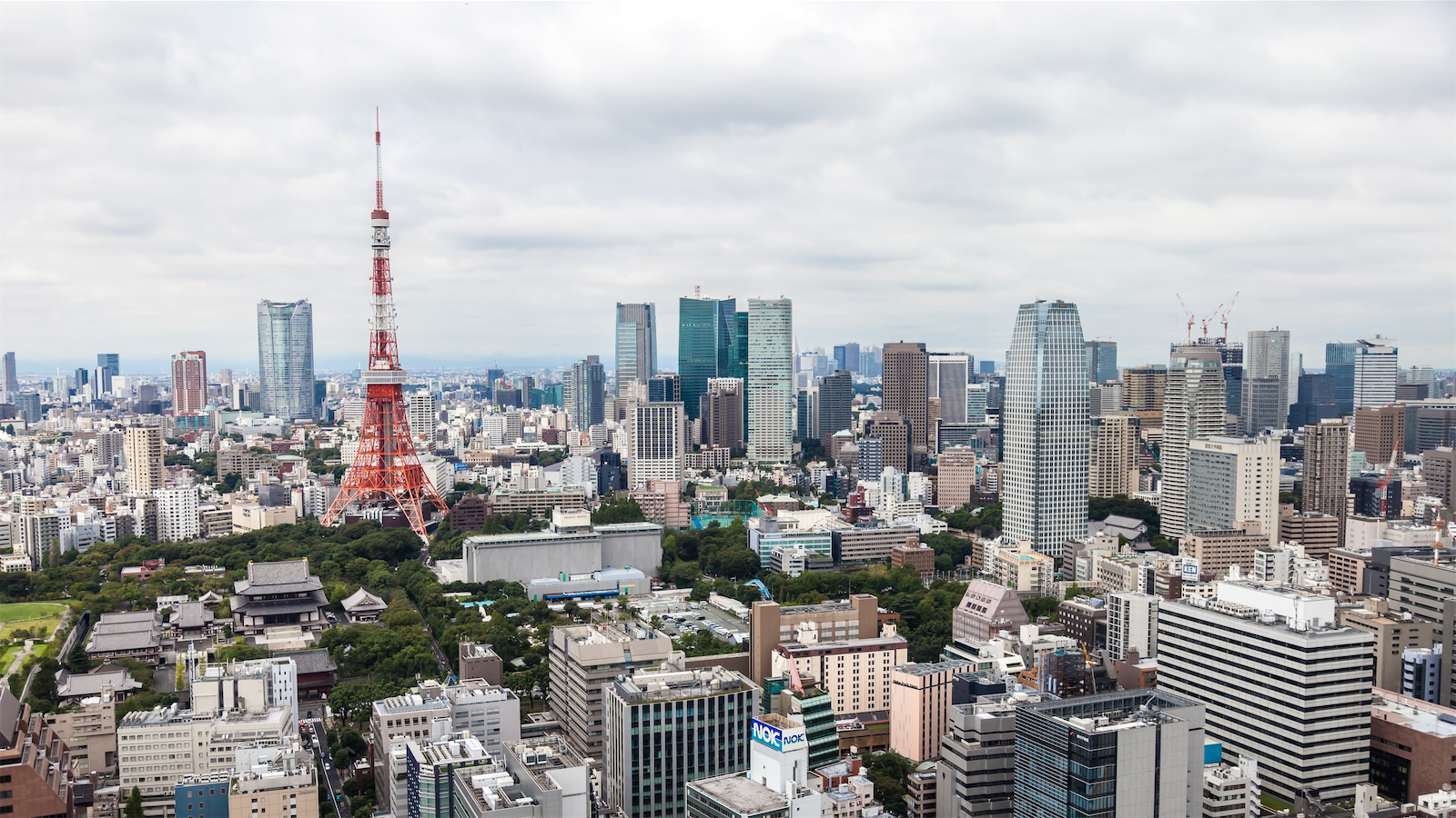 tokyo_morning-white-alexander-smagin-f63S1jmvjA8-unsplash.png