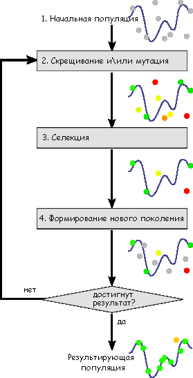 Schema_simple_algorithme_genetique_ru.png