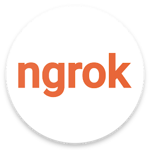 ngrok.png