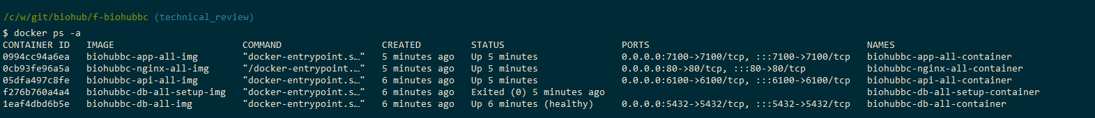 running_docker_ps_-a.png