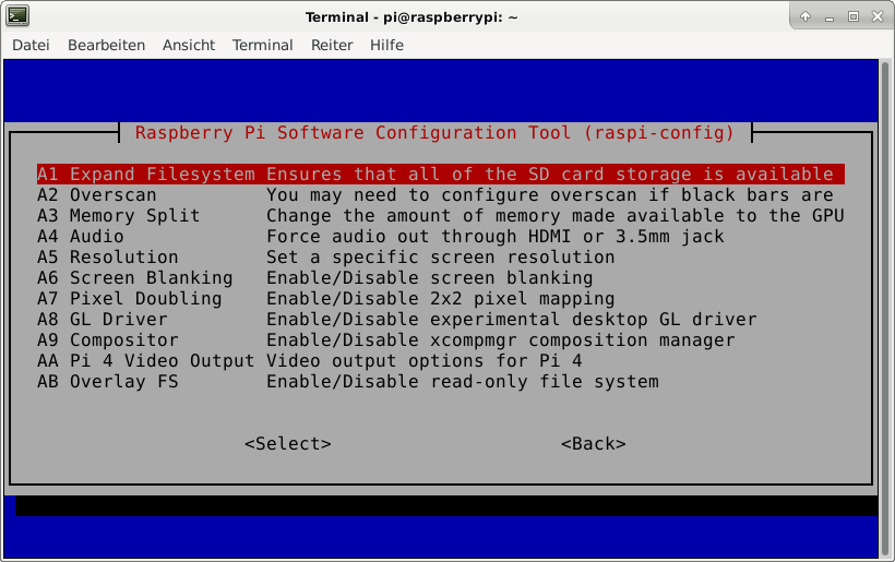 Expand the file system with raspi-config