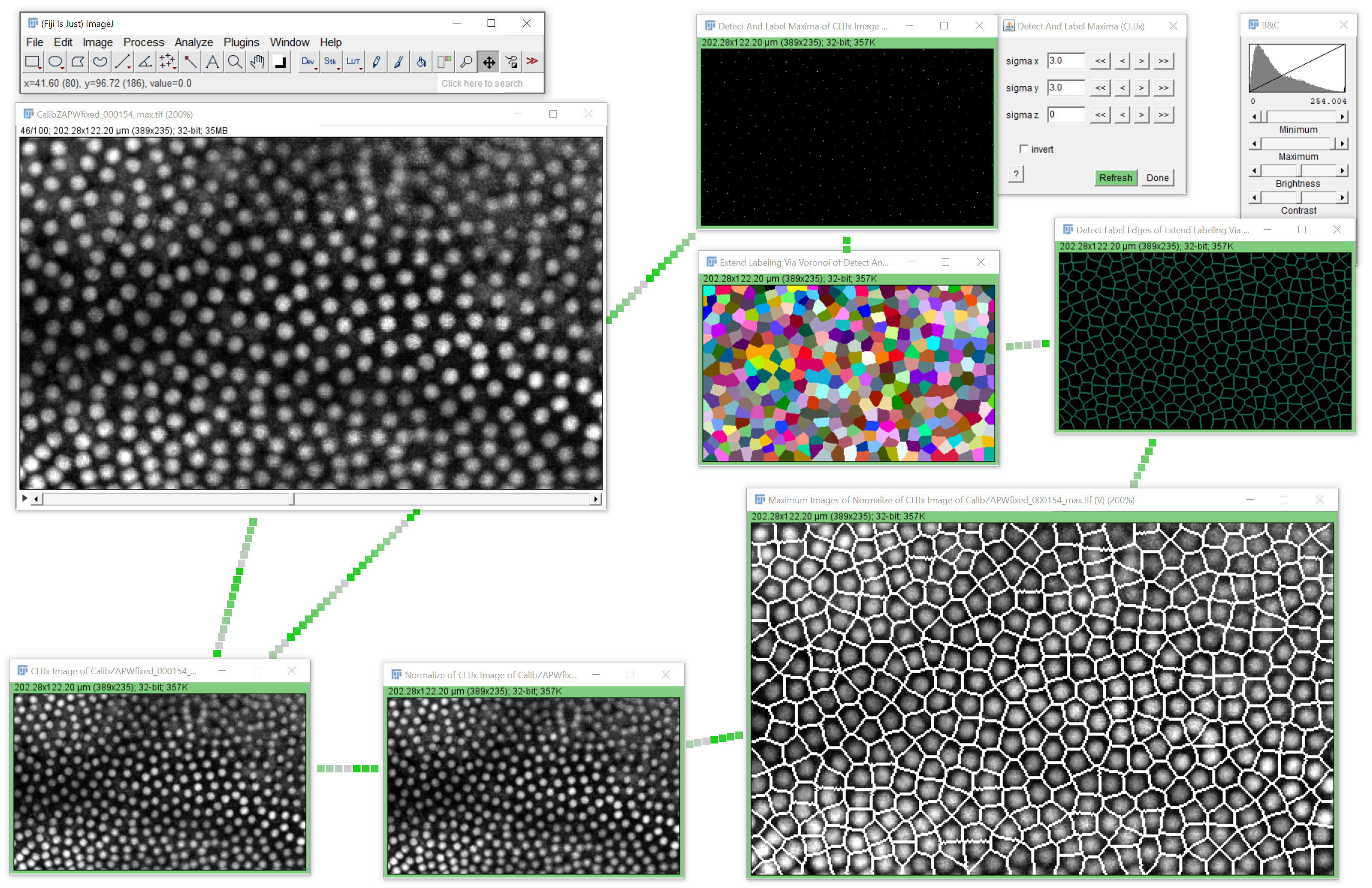 nuclei_voronoi.png