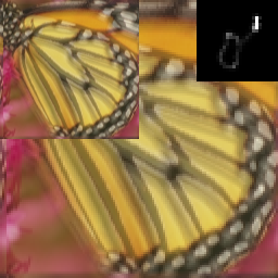 butterfly_x2_k10_LR.png