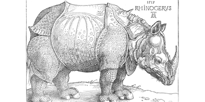 Rhino.png