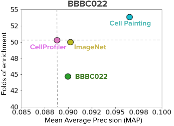 cell_painting_cnn_perf.png