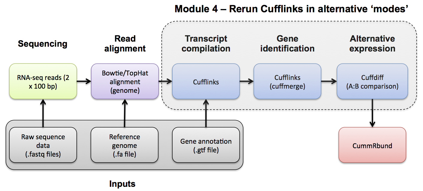 RNA-seq Flowchart - Module 5