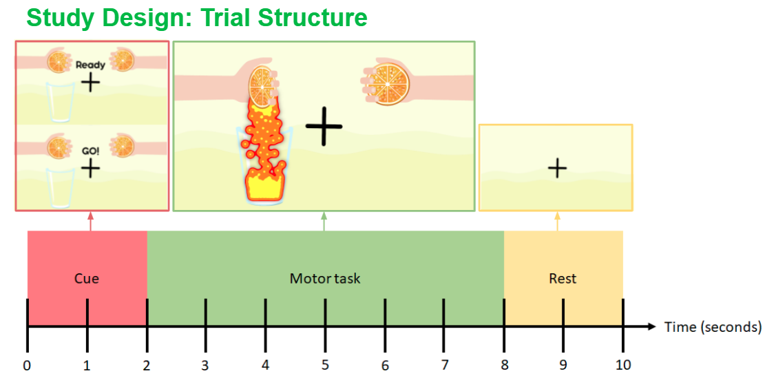 trial_structure.png