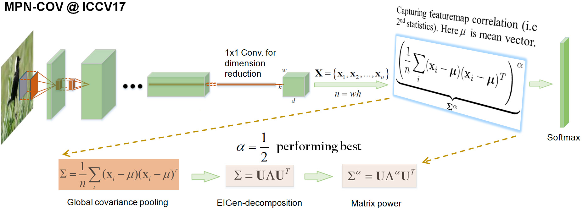 MPN-COV.jpg