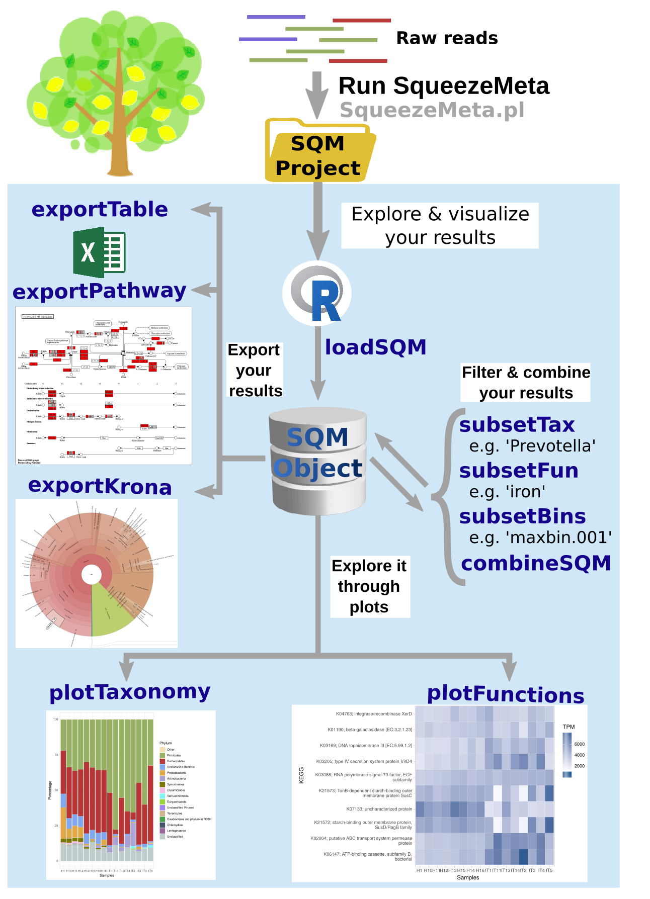 Figure_1_readmeSQM.png