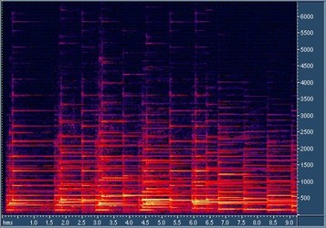 spectrogram.jpg