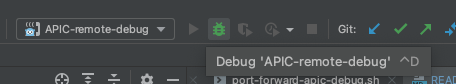 goland-apic-debug-button.png