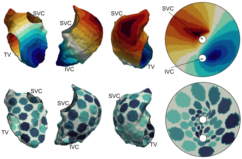 syn_examples.png