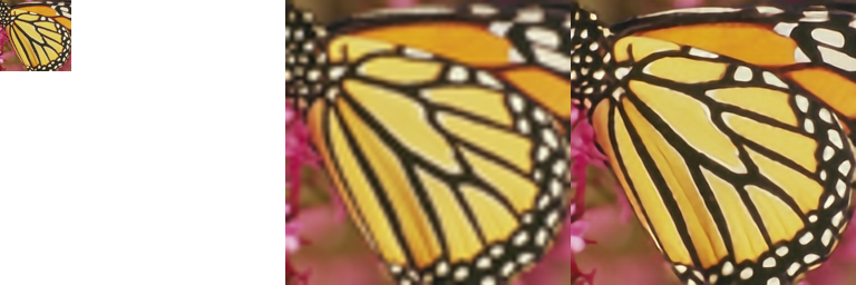 srresnet_butterfly_canvas.png