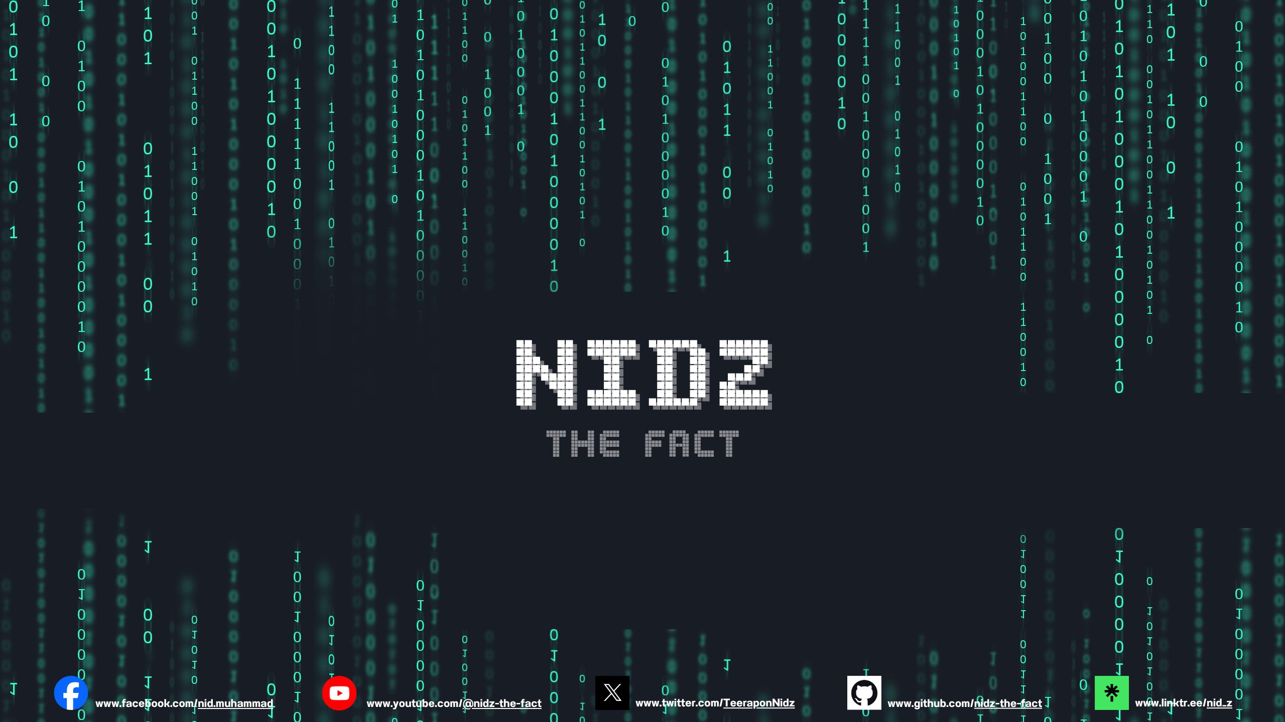 nidz-the-fact-cover.png