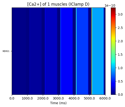 muscle_activity_D_IClamp.png