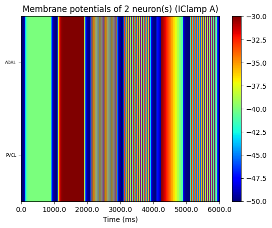 neurons_A_IClamp.png