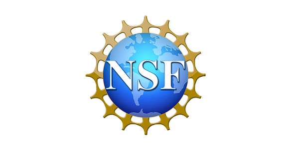 nsf.png