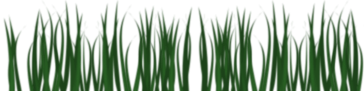 grass_lucky_bright.png