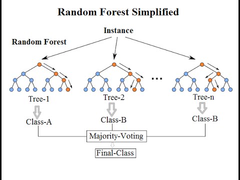 randomforest.jpg