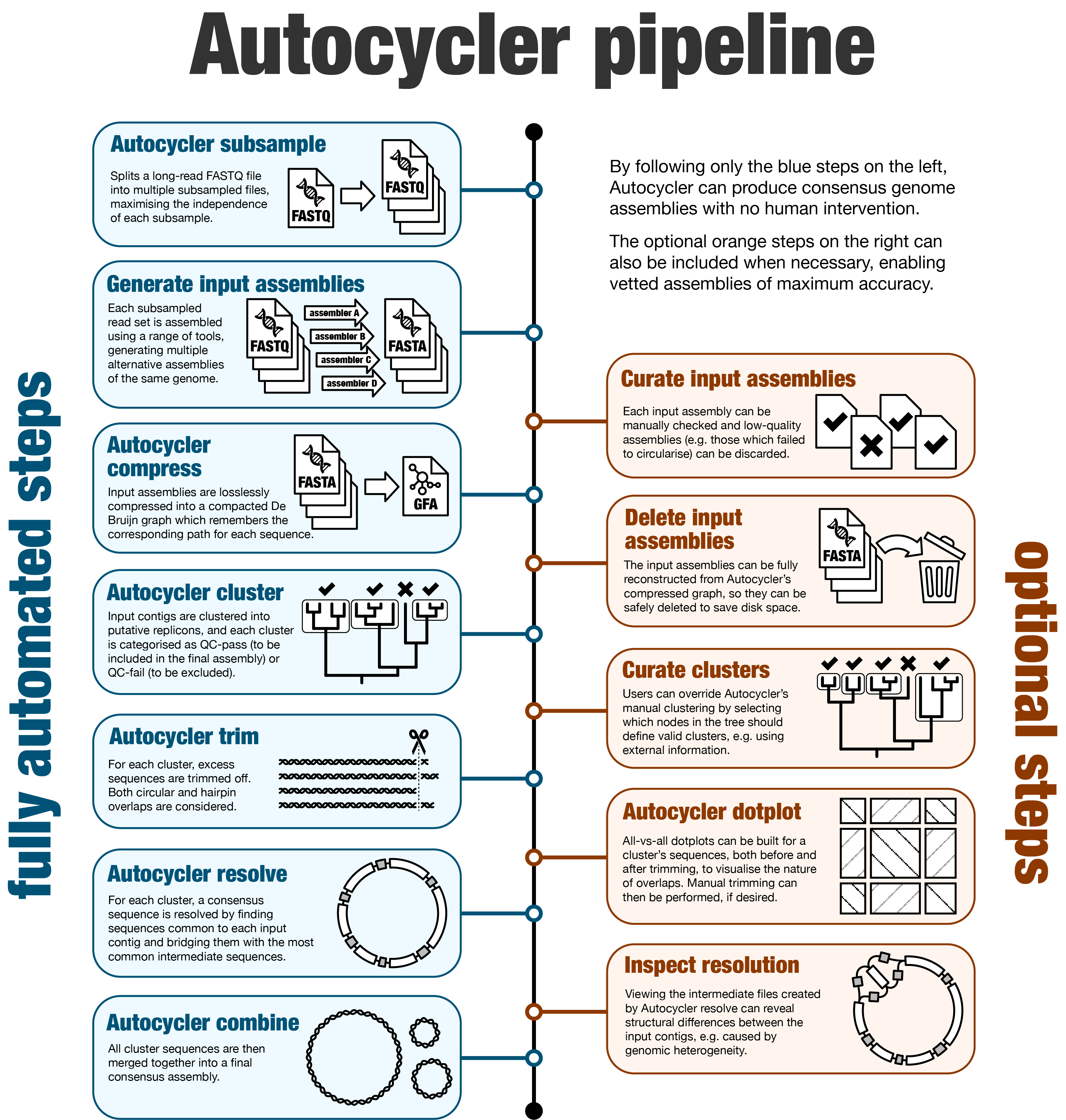 Illustrated overview of Autocycler pipeline