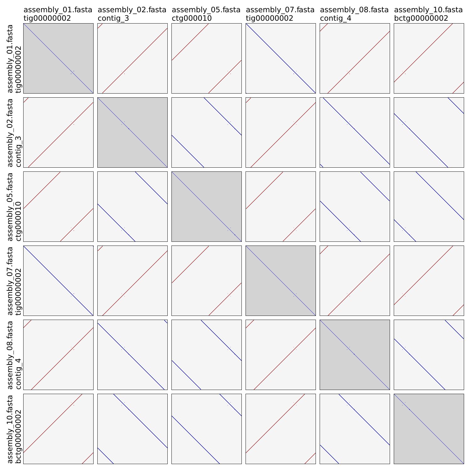 Autocycler dotplot example 1 trimmed