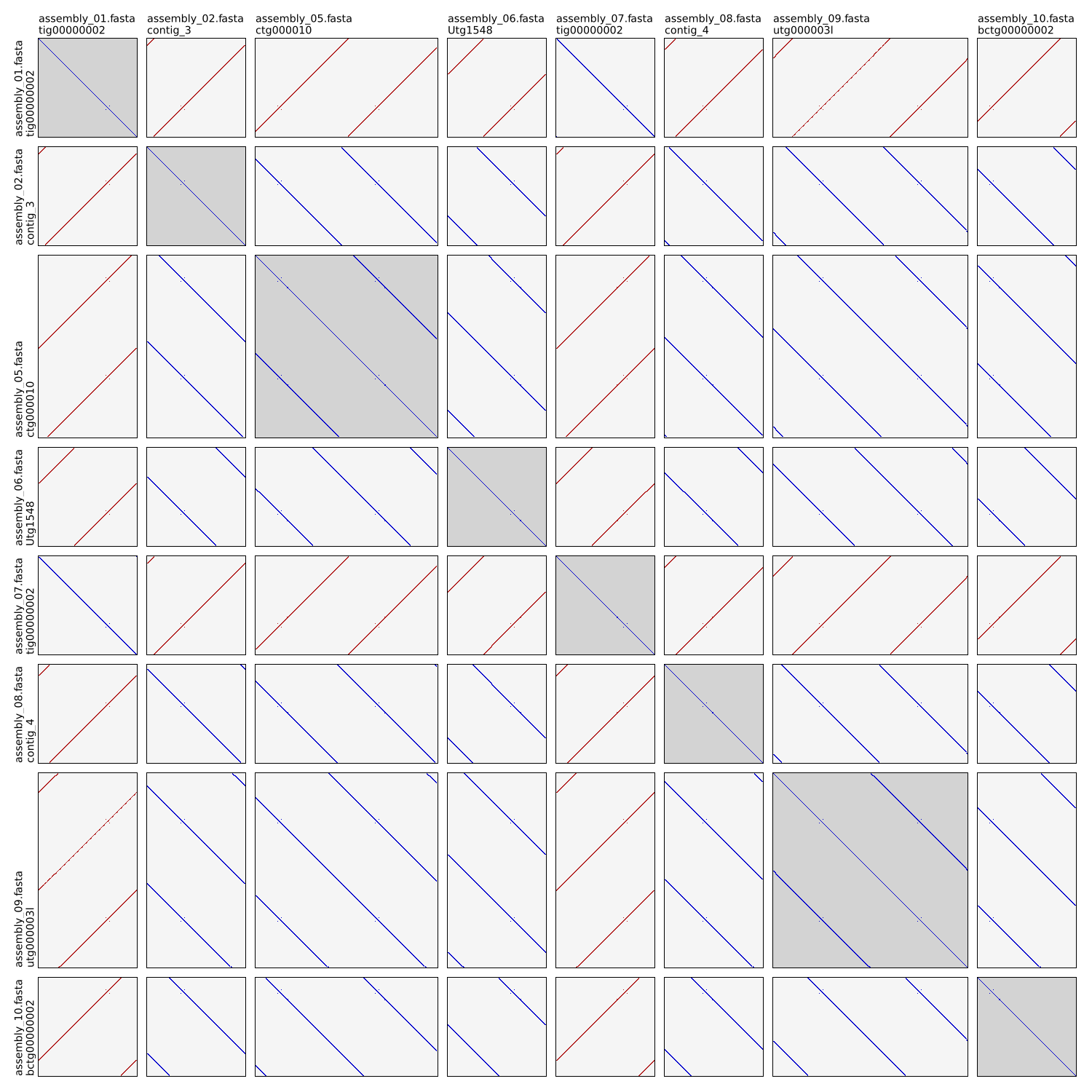 Autocycler dotplot example 1 untrimmed