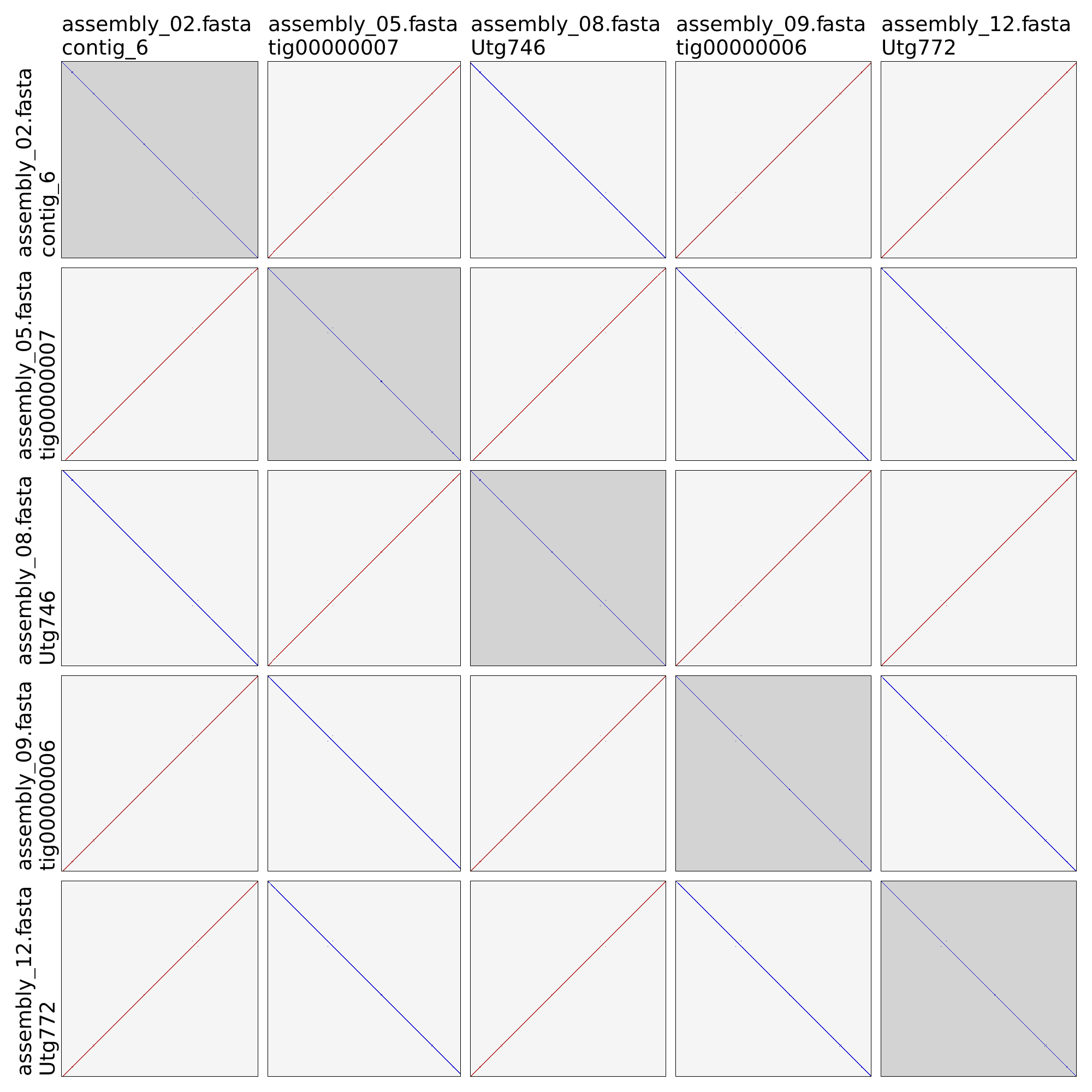 Autocycler dotplot example 2 trimmed