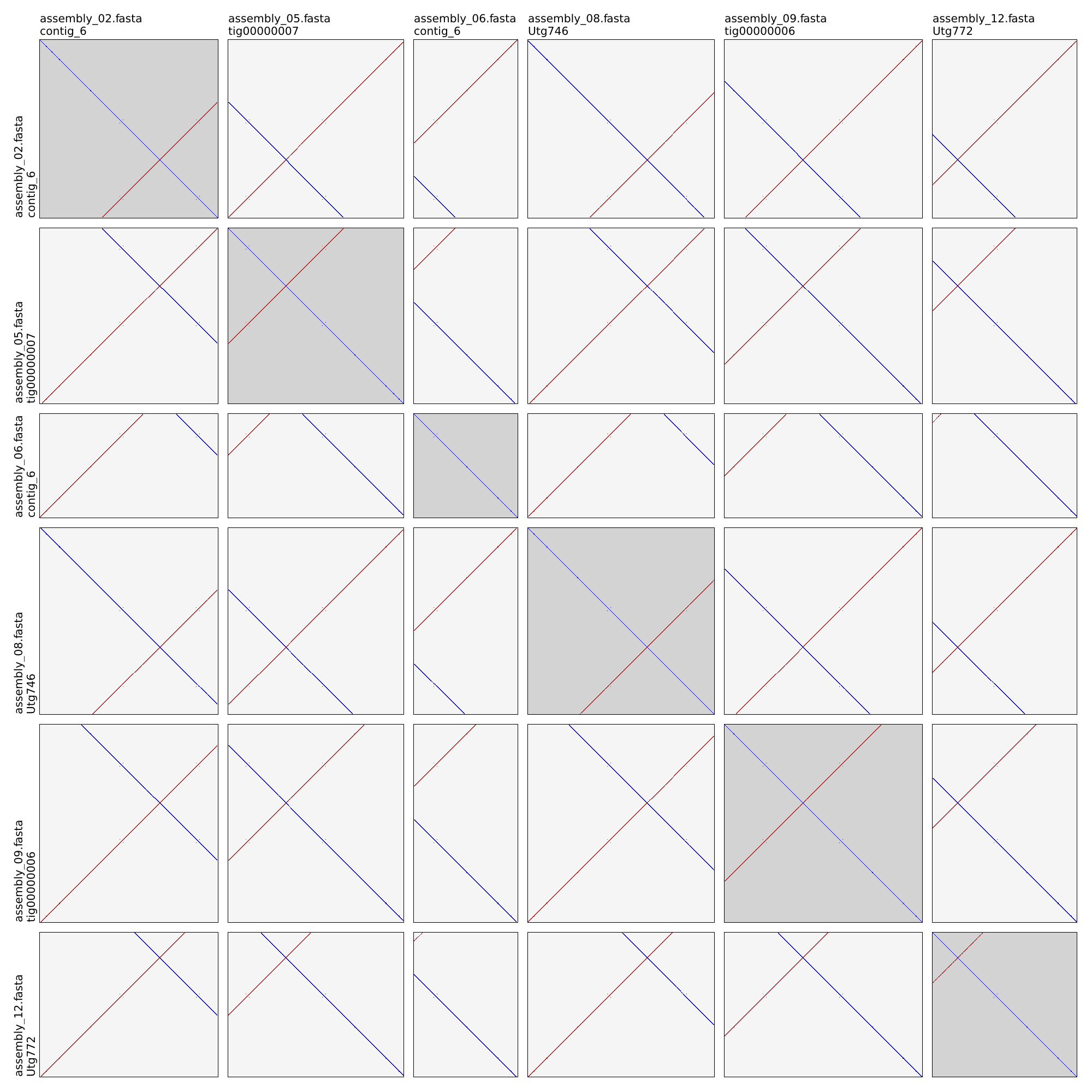 Autocycler dotplot example 2 untrimmed