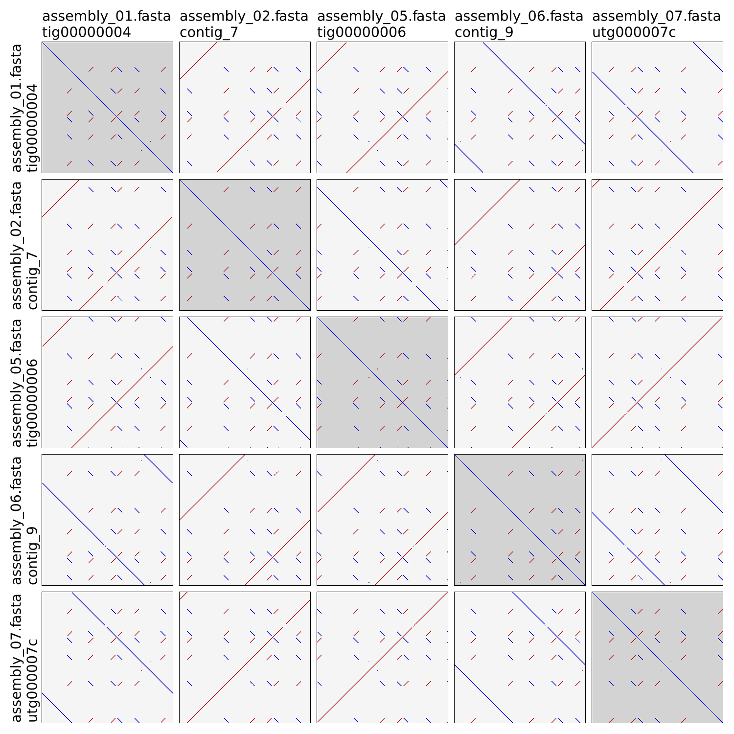 Autocycler dotplot example 3 trimmed