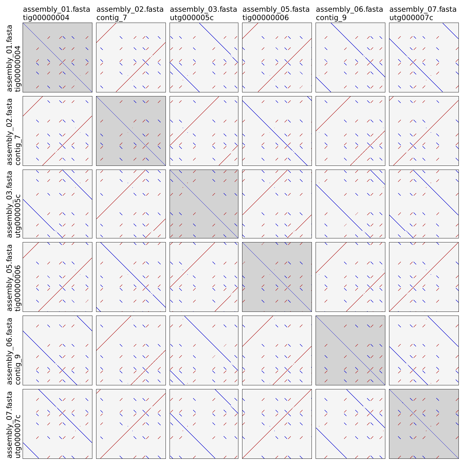 Autocycler dotplot example 3 untrimmed