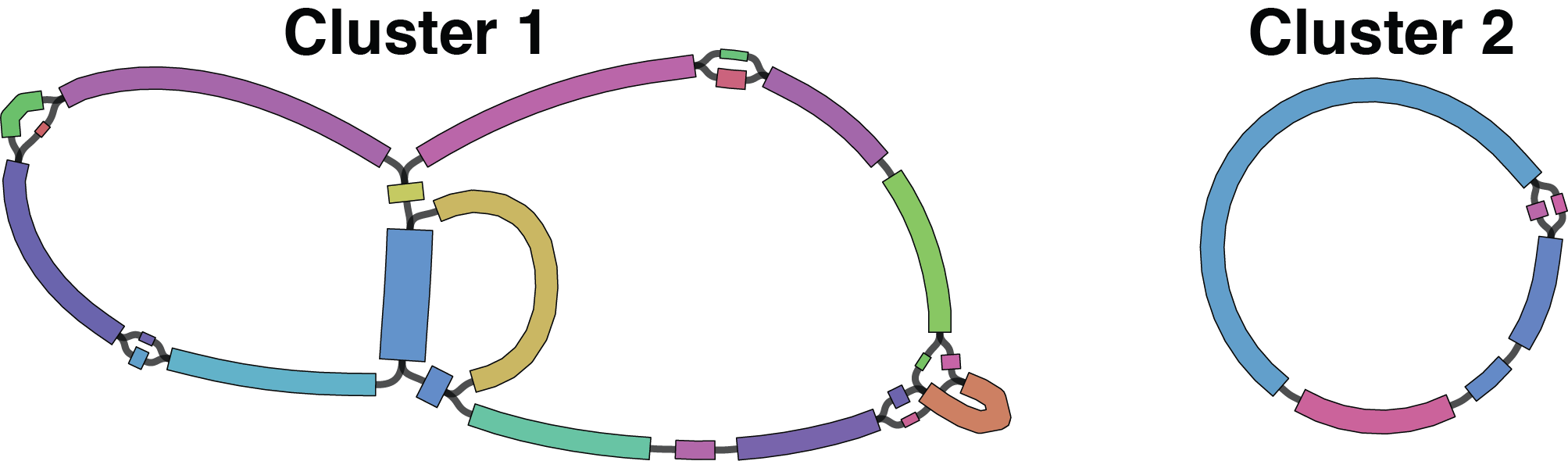 trimmed cluster graphs