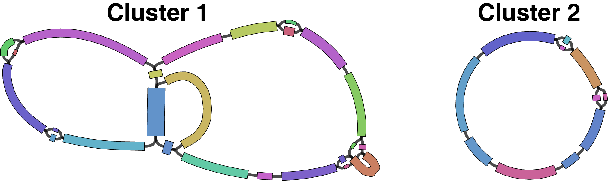 untrimmed cluster graphs