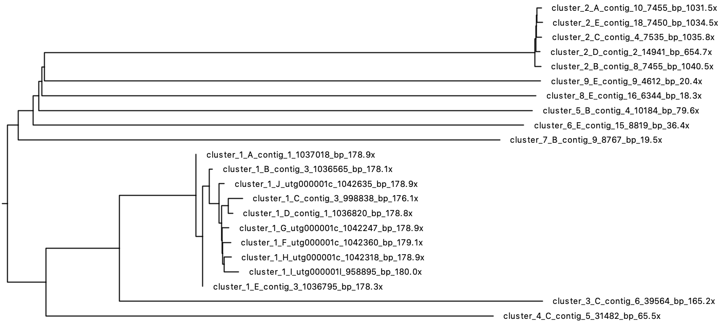 Mediocre dataset tree