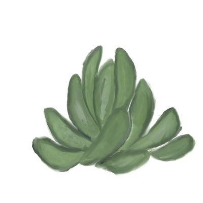 plant2.png