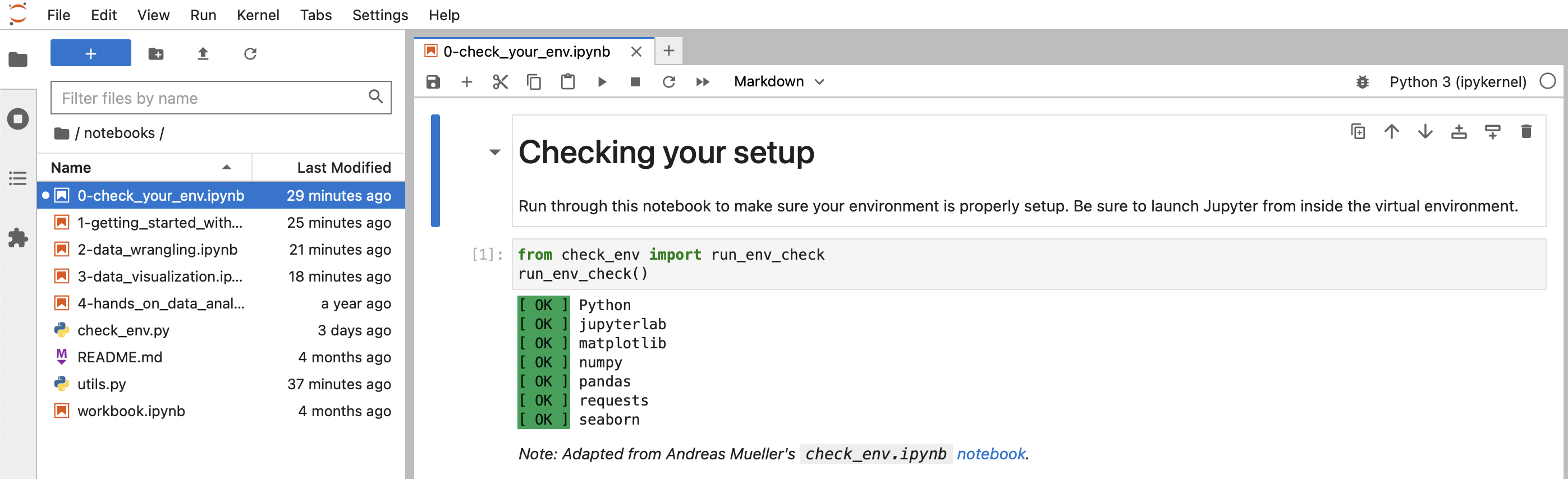 open_env_check_notebook.png
