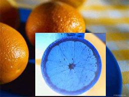 oranges-region-invert.png