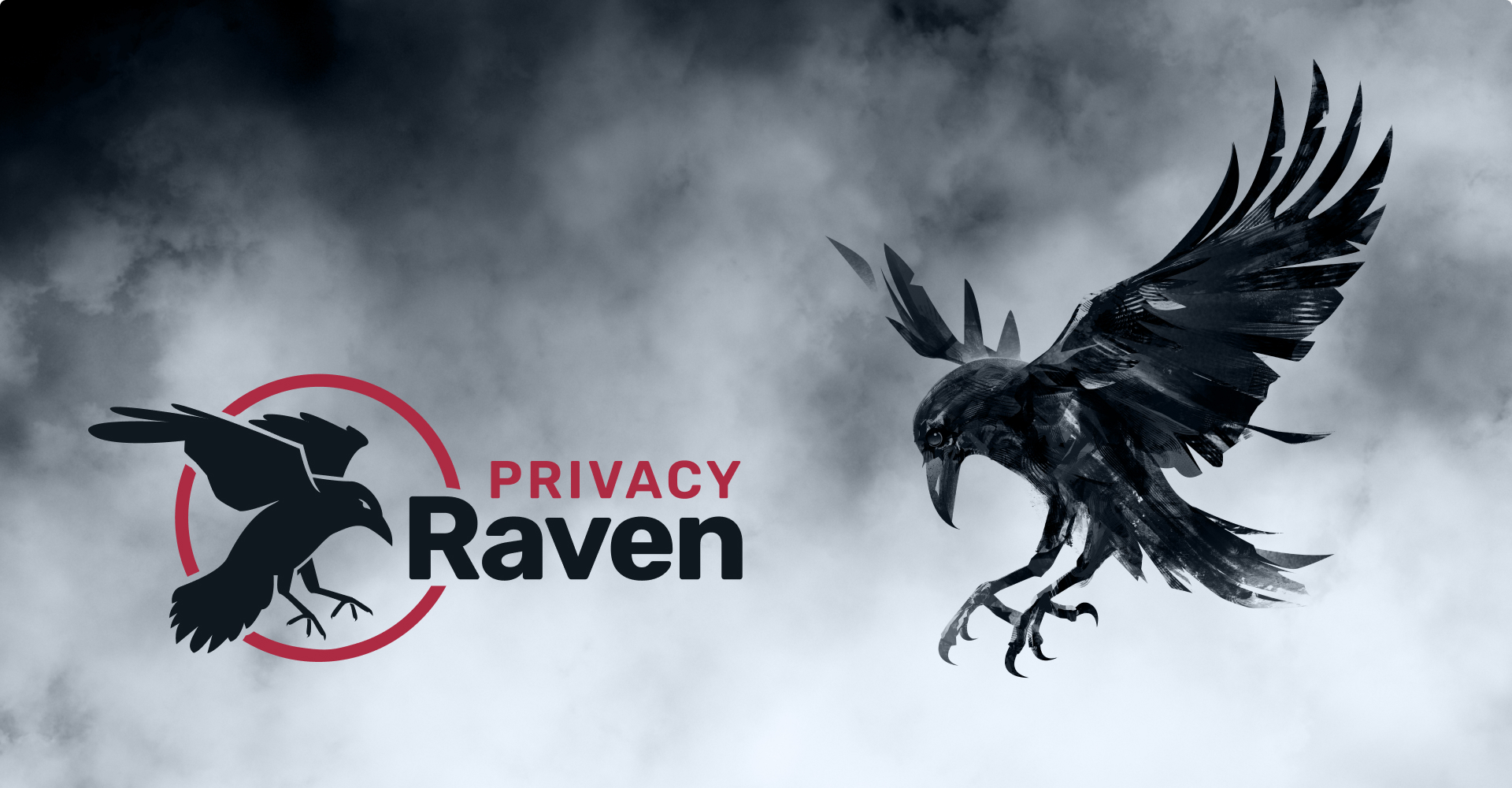 privacyraven_logo.jpeg