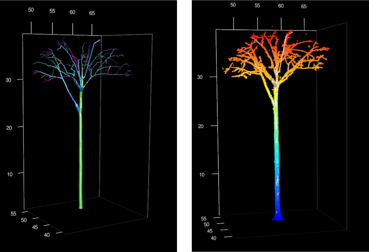 141_plot_branch_order_pc.JPG