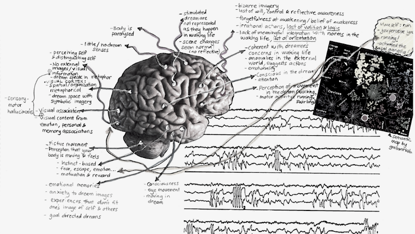 neurosprawler_map_sketch.png